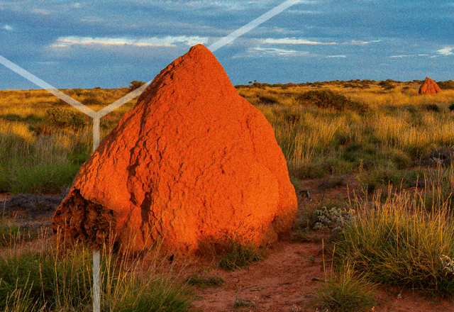 Large ant hill in the Australian outback.
